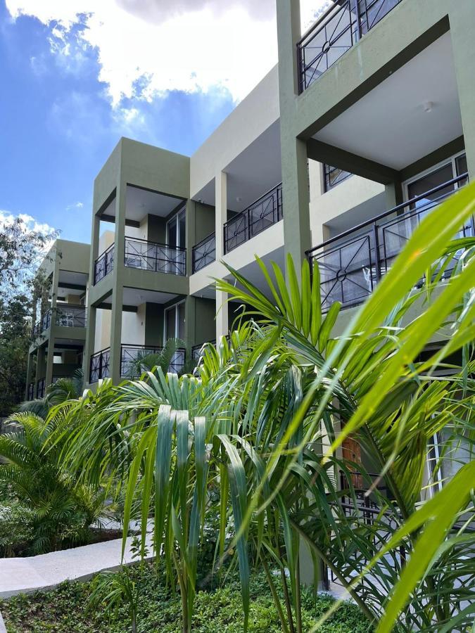 Lol-Ha Hotel Boutique Cancun Exterior photo